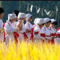 大嘗祭と新嘗祭に見る日本